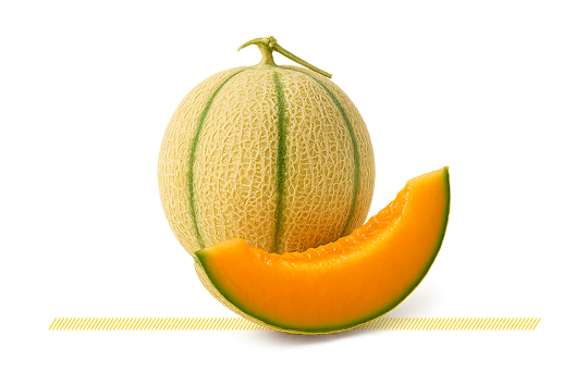 Japanese Melon